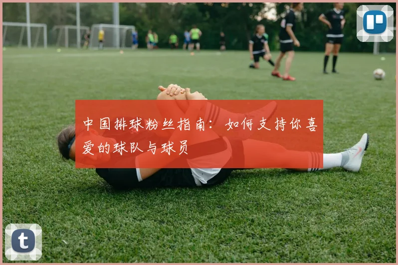 中国排球粉丝指南:如何支持你喜爱的球队与球员