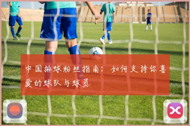 中国排球粉丝指南：如何支持你喜爱的球队与球员